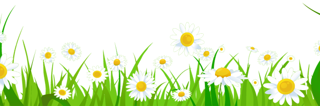 Grass